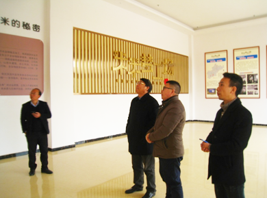 中國冰糖橙之鄉(xiāng) 麻陽縣亟需產業(yè)融合發(fā)展