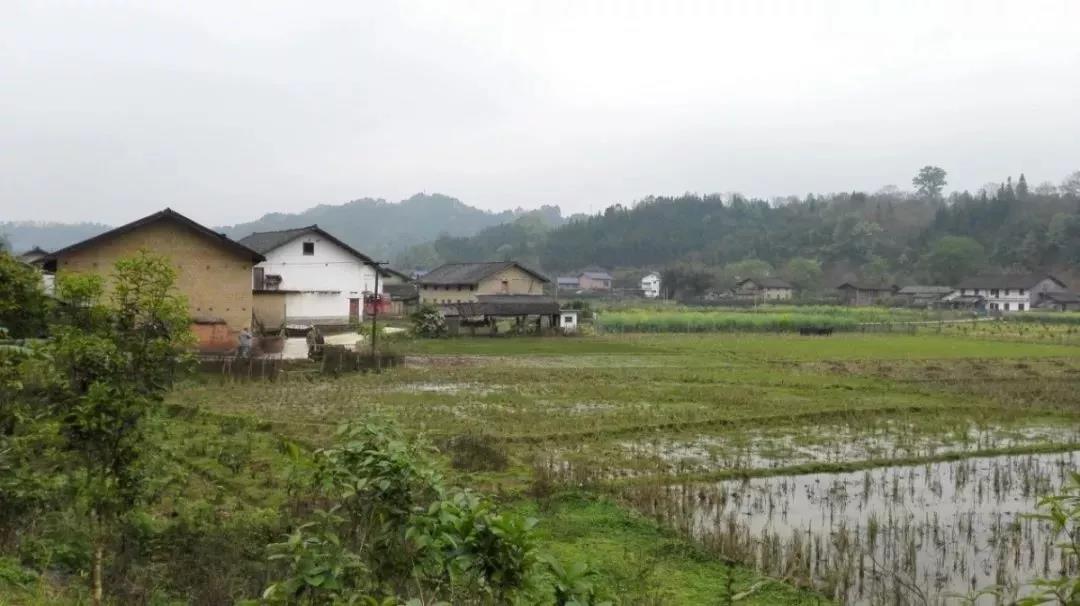 農(nóng)村土地確權(quán)結(jié)束，沒登記的四荒地如何處理？