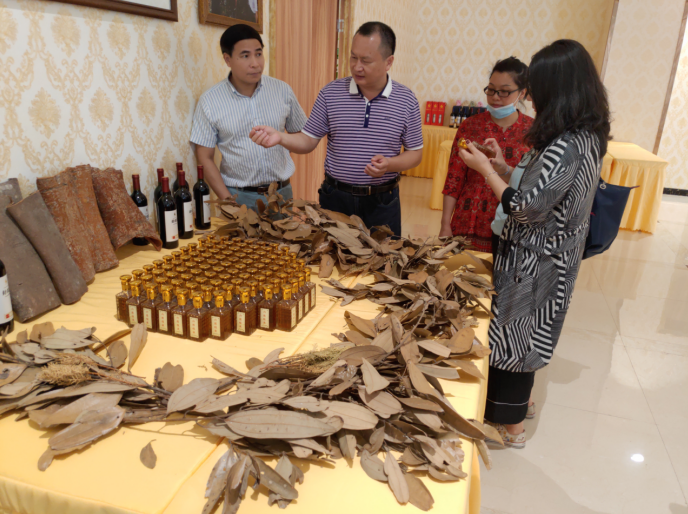 龔州大地，龍眼飄香-平南現(xiàn)代農(nóng)業(yè)正釋放科技創(chuàng)新活力