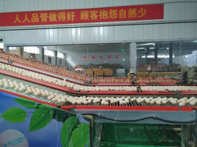 后稷故里，板棗之鄉(xiāng)——山西省稷山縣大力爭(zhēng)創(chuàng)國(guó)家現(xiàn)代農(nóng)業(yè)產(chǎn)業(yè)園