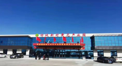 大同黃花，忘憂云州——云州區(qū)積極申創(chuàng)國家農(nóng)業(yè)現(xiàn)代化示范區(qū)